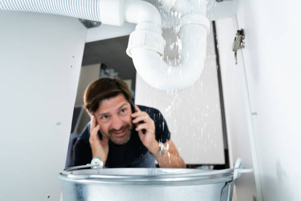  Bellview, FL Plumbing Pros