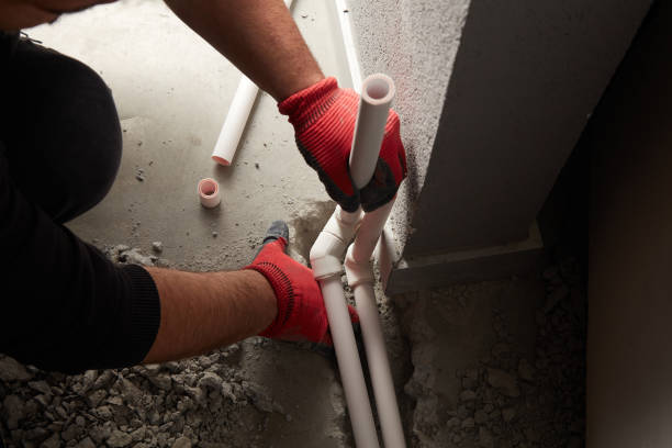 Best Best Plumbers Near Me  in Bellview, FL