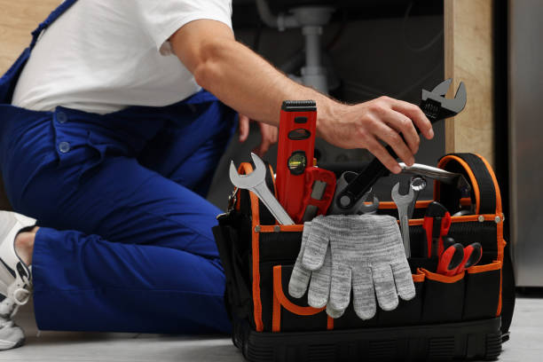 Best Clogged Drain Plumber  in Bellview, FL